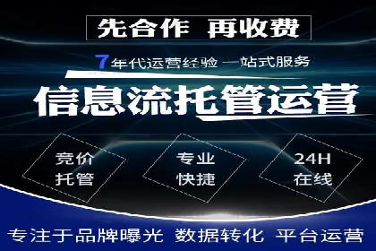 某品牌SEM推广策略的成效与启示